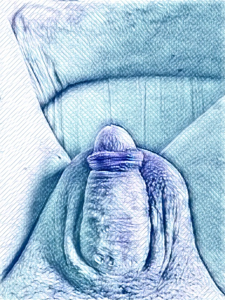 img1526273657315.jpg - dino8