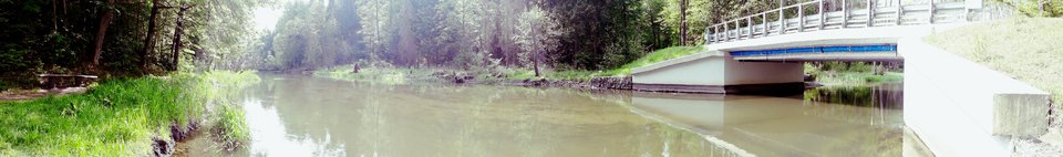 20180515_094457.jpg - dino8