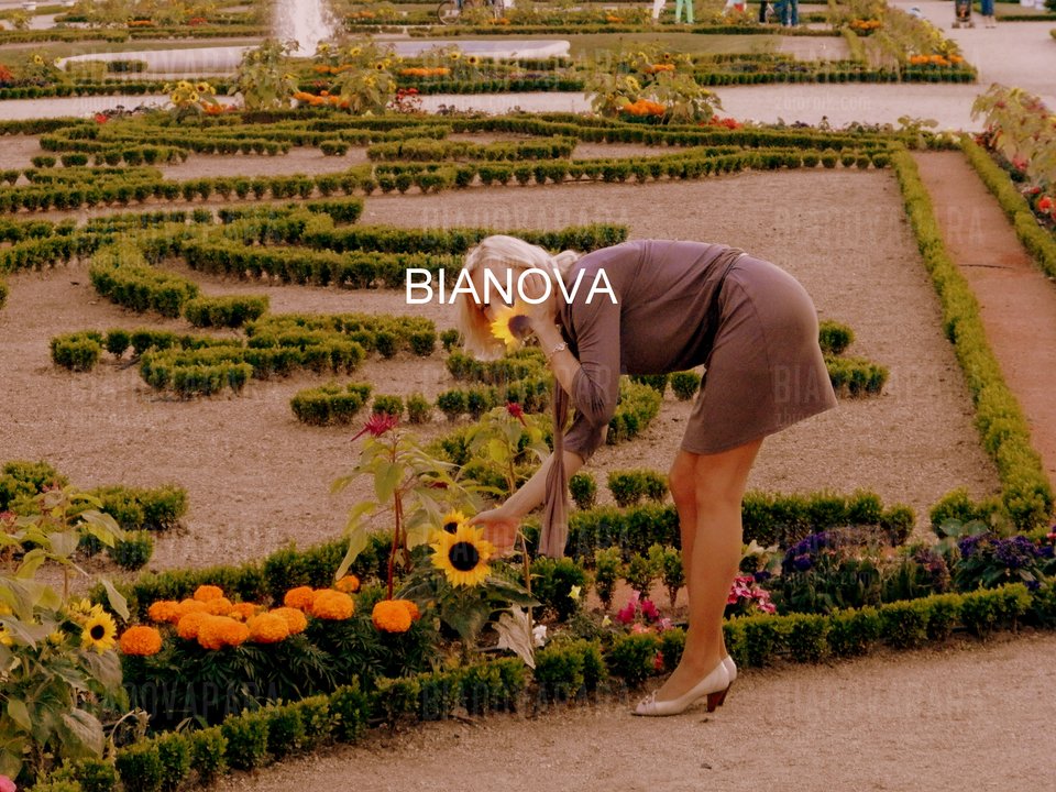 P6294388.JPG - bianovapara