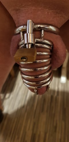 20180517_074156-01.jpeg