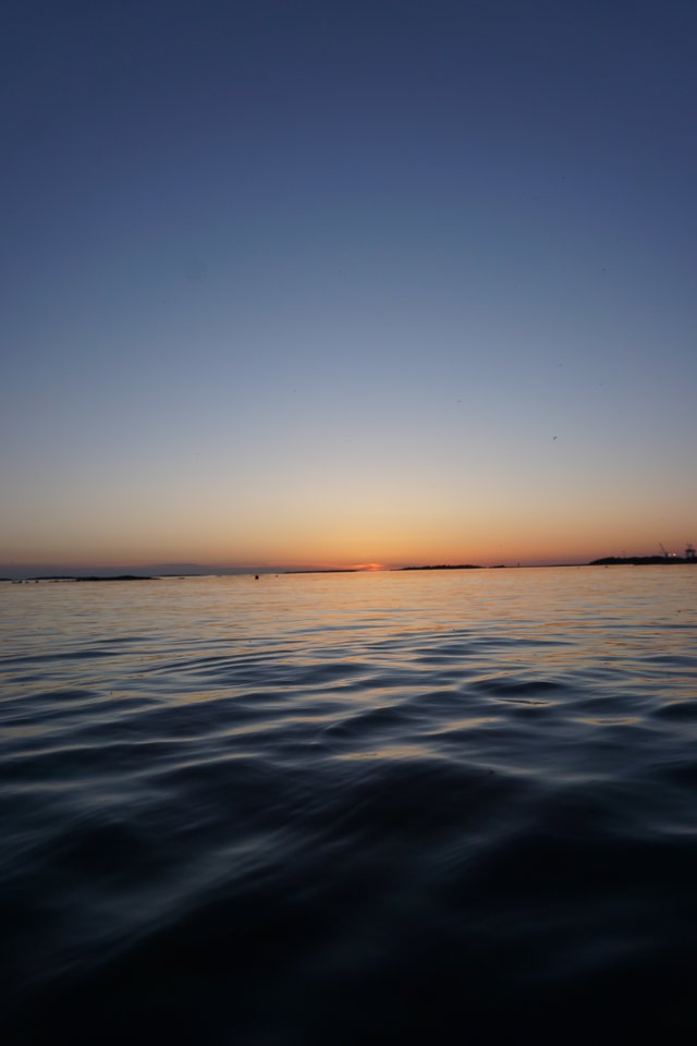 DSC00863.JPG - MAK_Demon