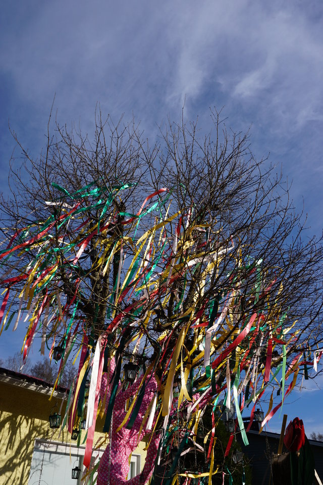 DSC00786.JPG - MAK_Demon