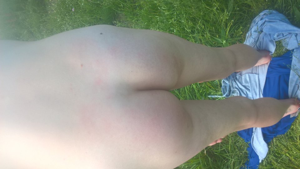 WP_20180520_13_09_23_Pro.jpg - analogsy2428