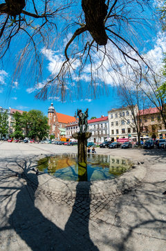 Plac Wolnica