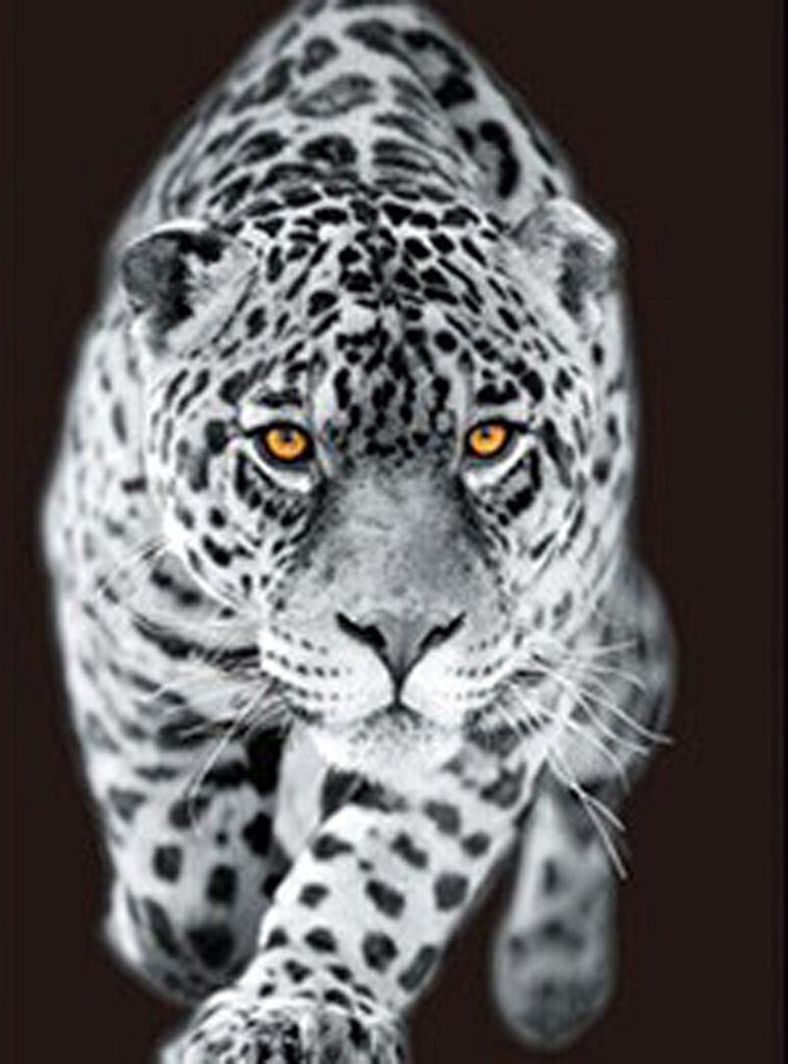 992-4.jpg - prompter