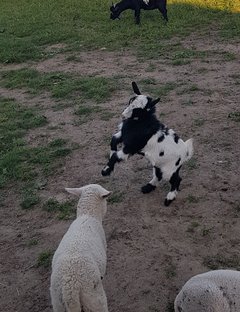 20180525_060855.jpg