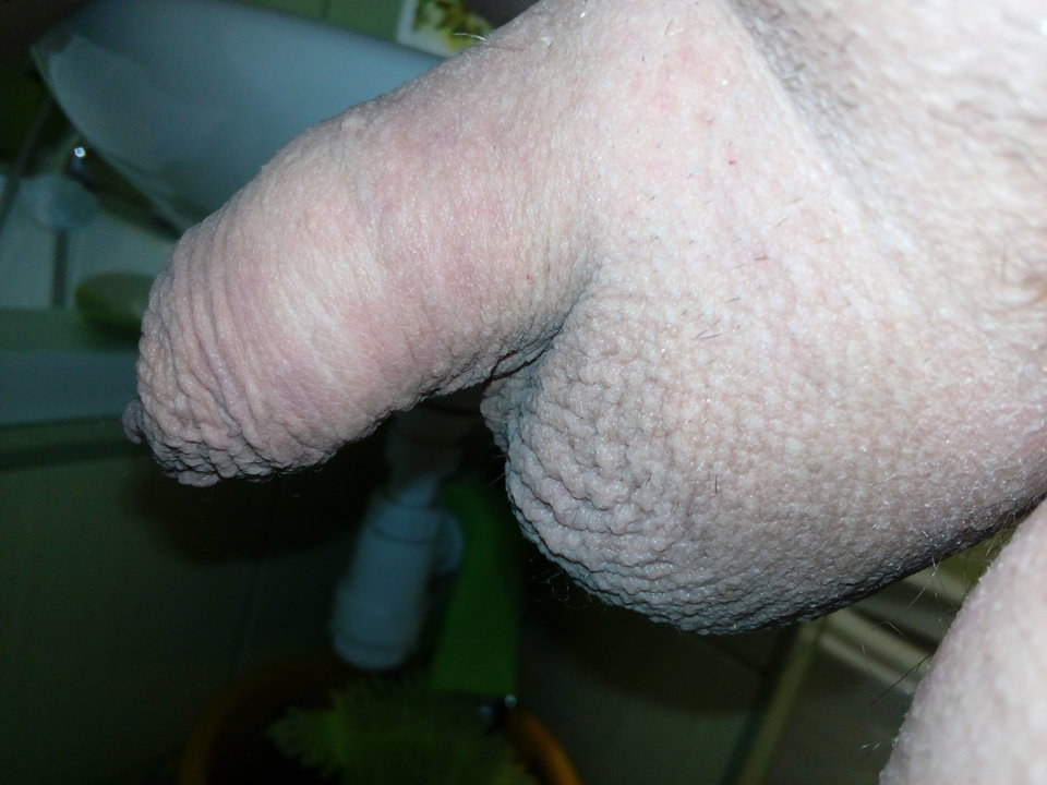 1527221819105901953829.jpg - matuzalem000