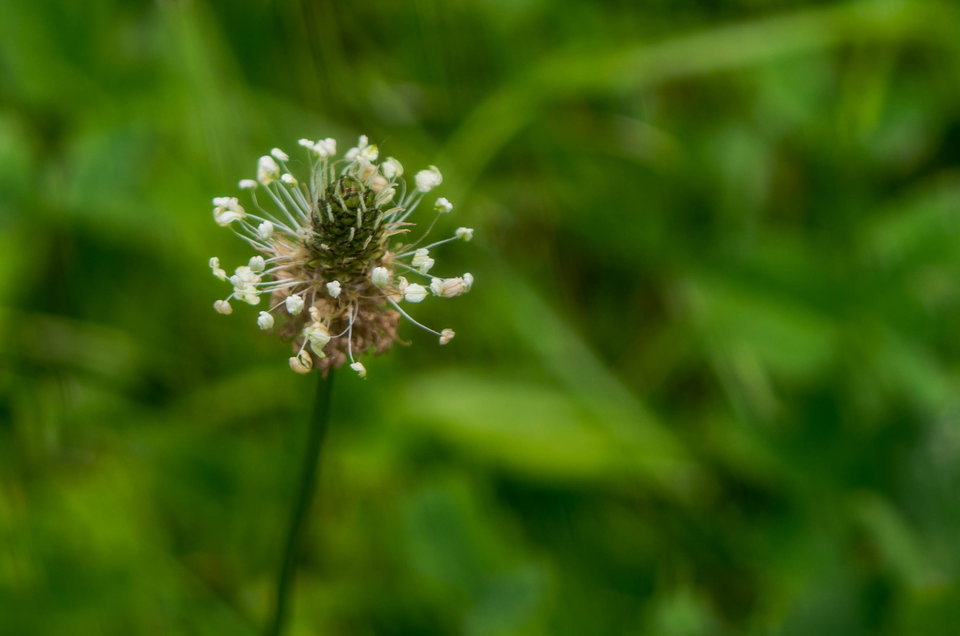 Prawie jak satelity - mystic