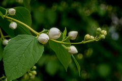 Za chwilkę otwarcie