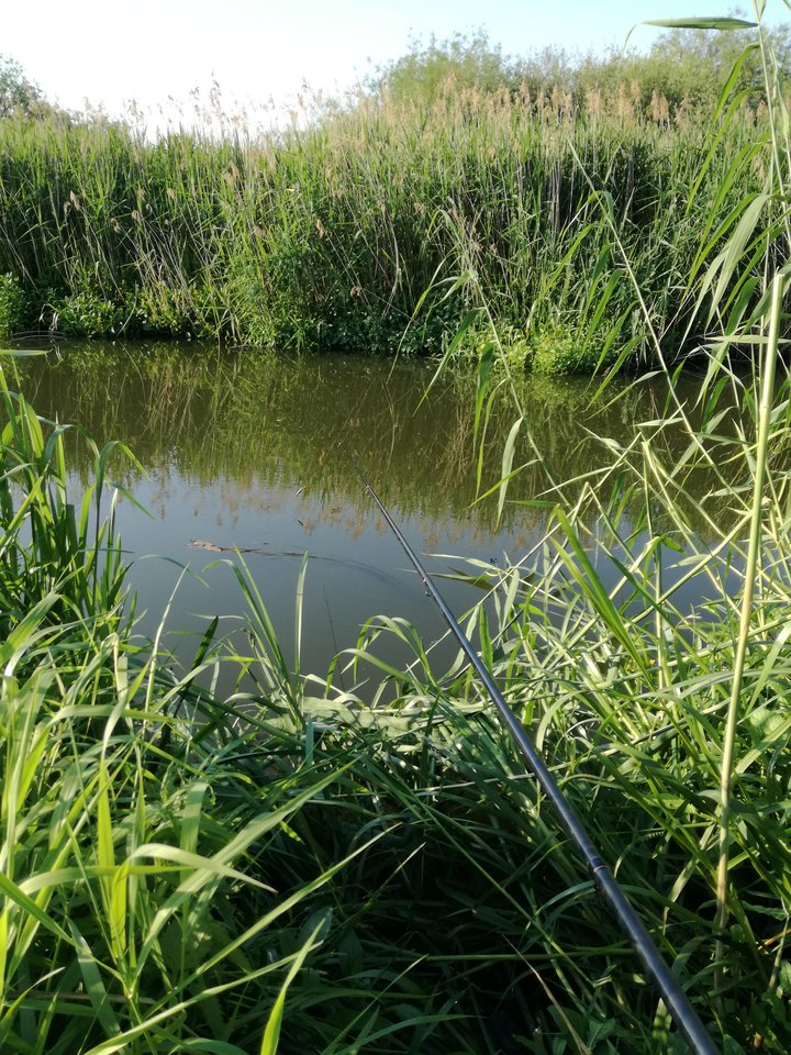 IMG_20180526_183042.jpg - matiwrobis