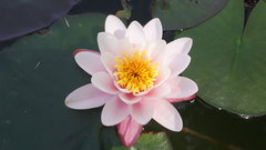 20180527_114334.jpg