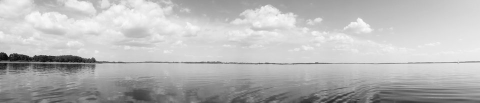 20180527_171547.jpg - dino8