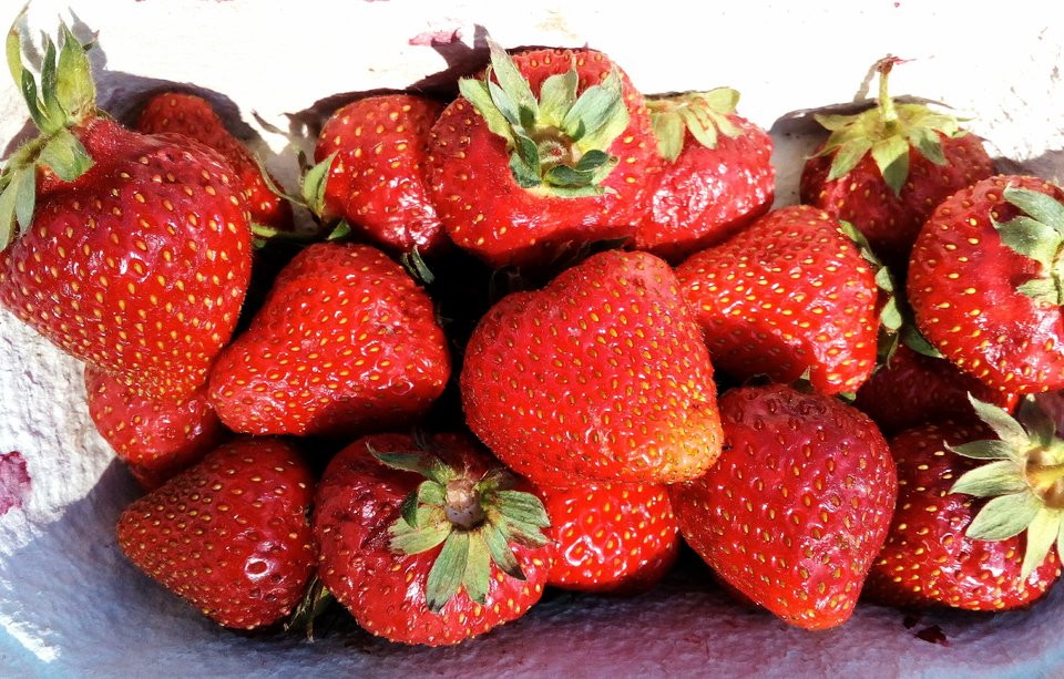 Uwielbiam ich smak... - uhtred