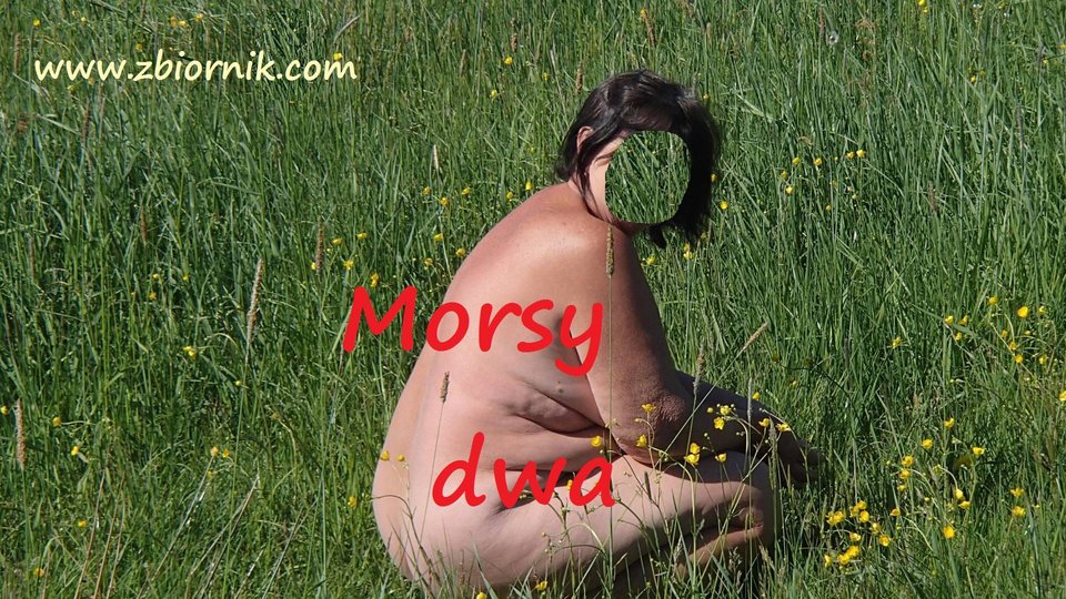 Plener 05 18 - Morsy_dwa