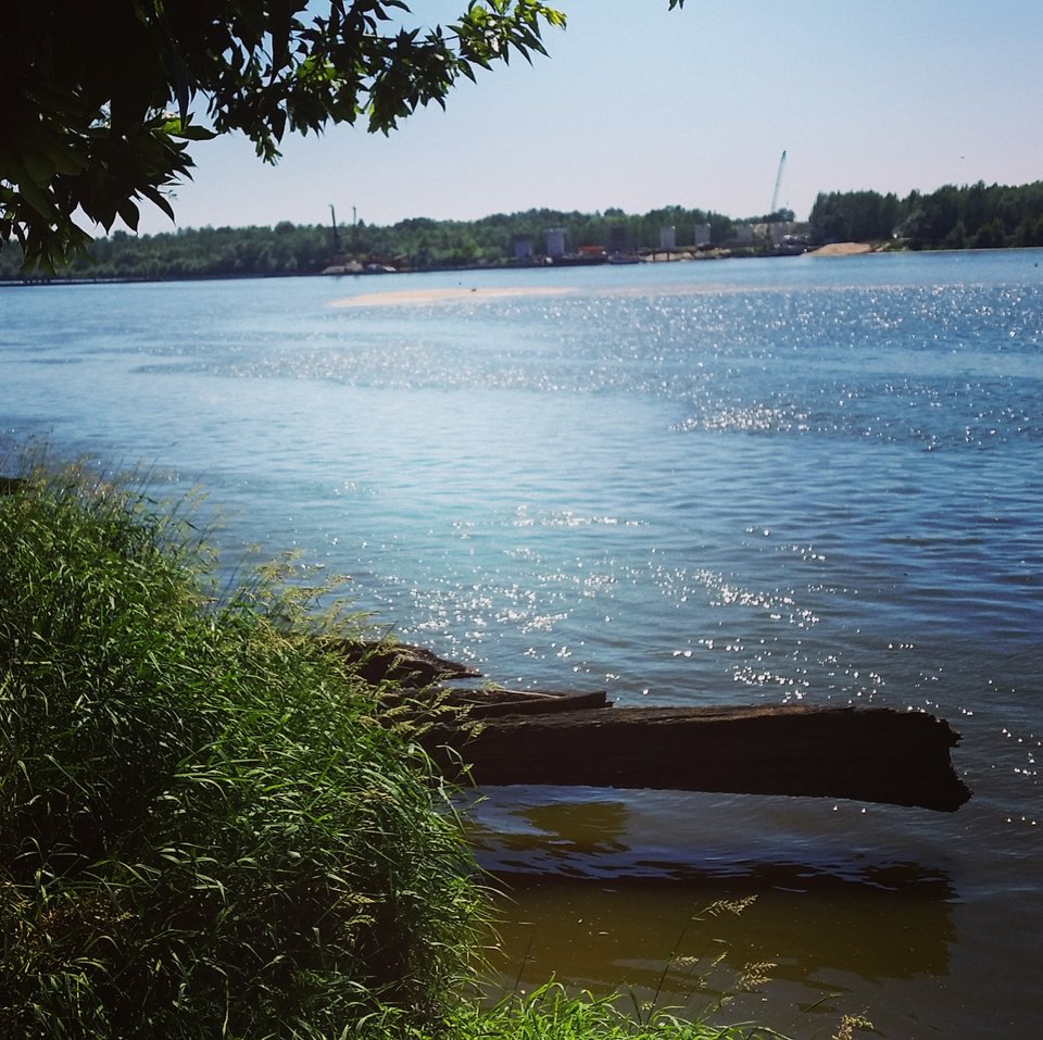 IMG_20180529_173931_392.jpg - radosnydic