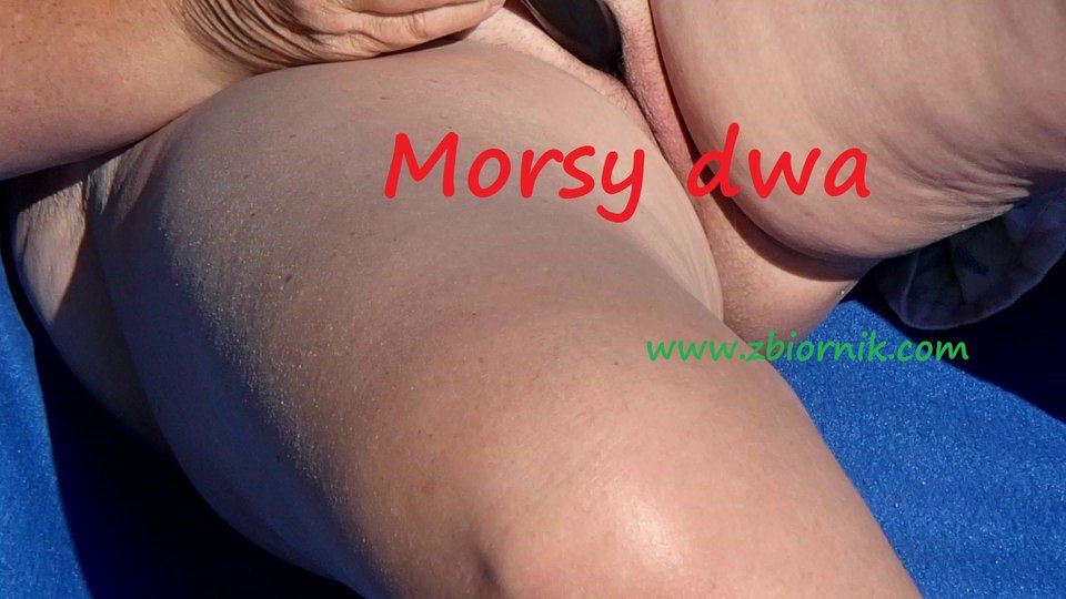 Wibracje - Morsy_dwa