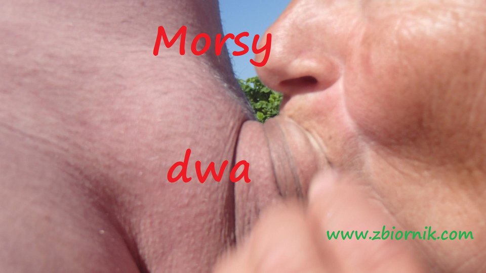 Plenerowe lody... - Morsy_dwa