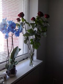 2018-06-07 10.30.04.jpg