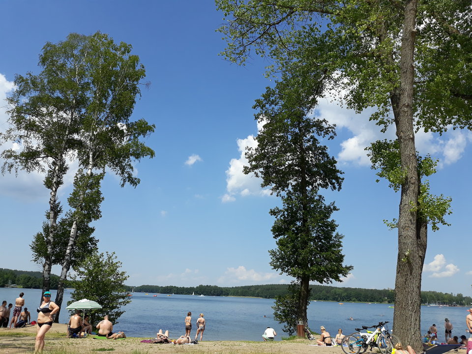 20180531_121550.jpg - wirtualna11