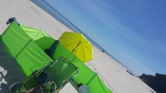 20180608_115117.jpg