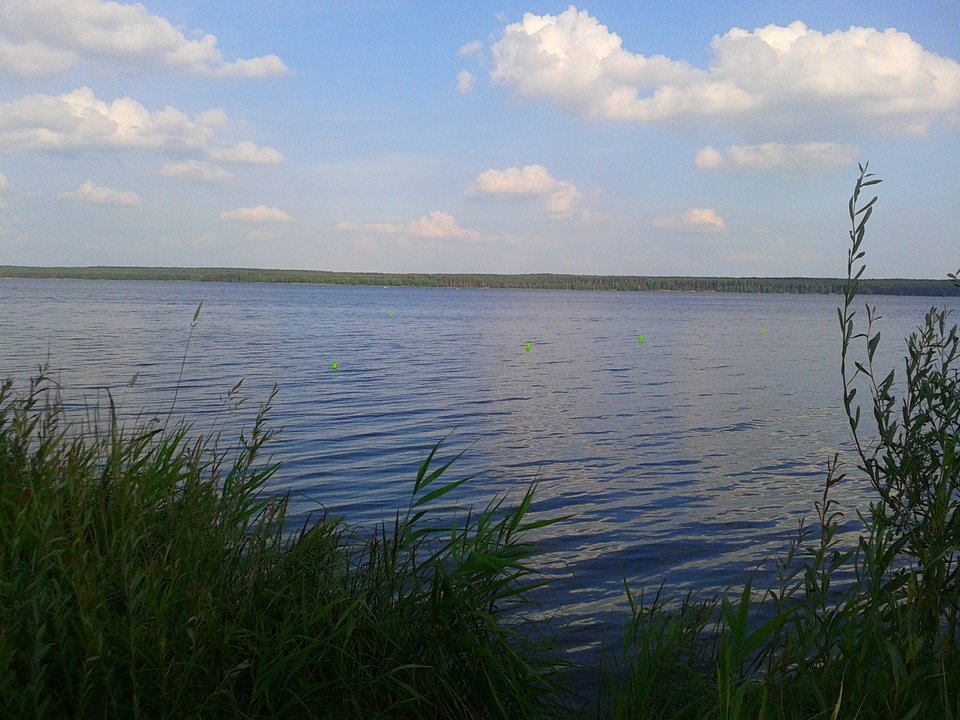 2018 06 06 (1).jpg - lookin_