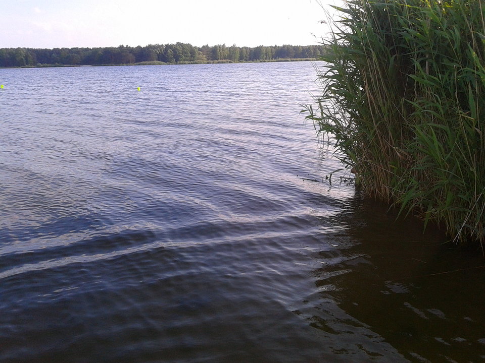 2018 06 06 (2).jpg - lookin_