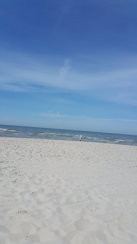 20180609_153116.jpg - PaweliRenia