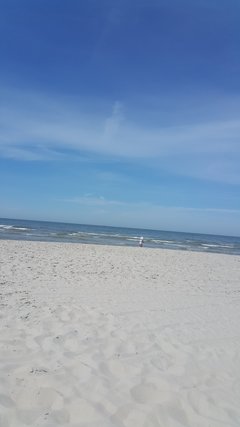 20180609_153116.jpg