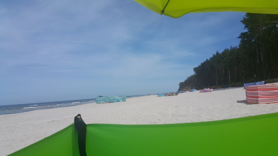 20180609_153138.jpg - PaweliRenia