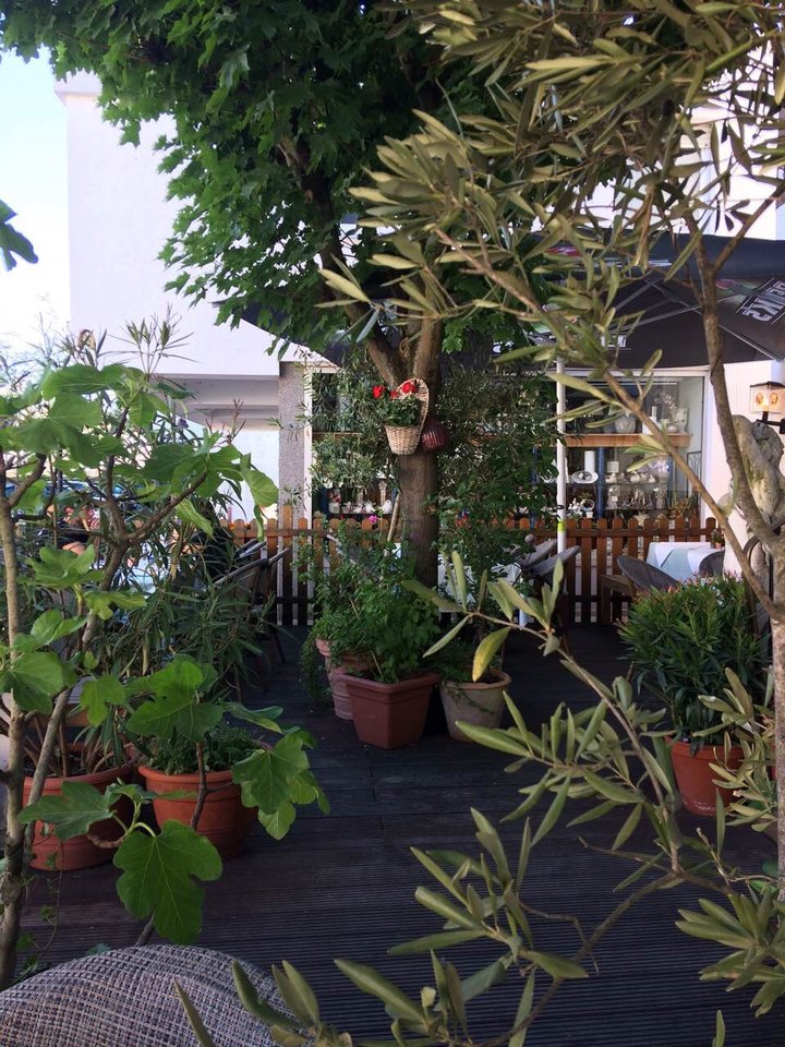 D8794927-7E41-4570-AE9A-0FB8C76C4BB7.jpeg - pawelsolt