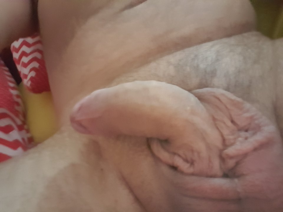 20180610_081732.jpg - Piotroo37