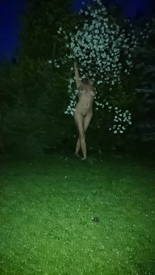 DSC_0295.JPG - arahja