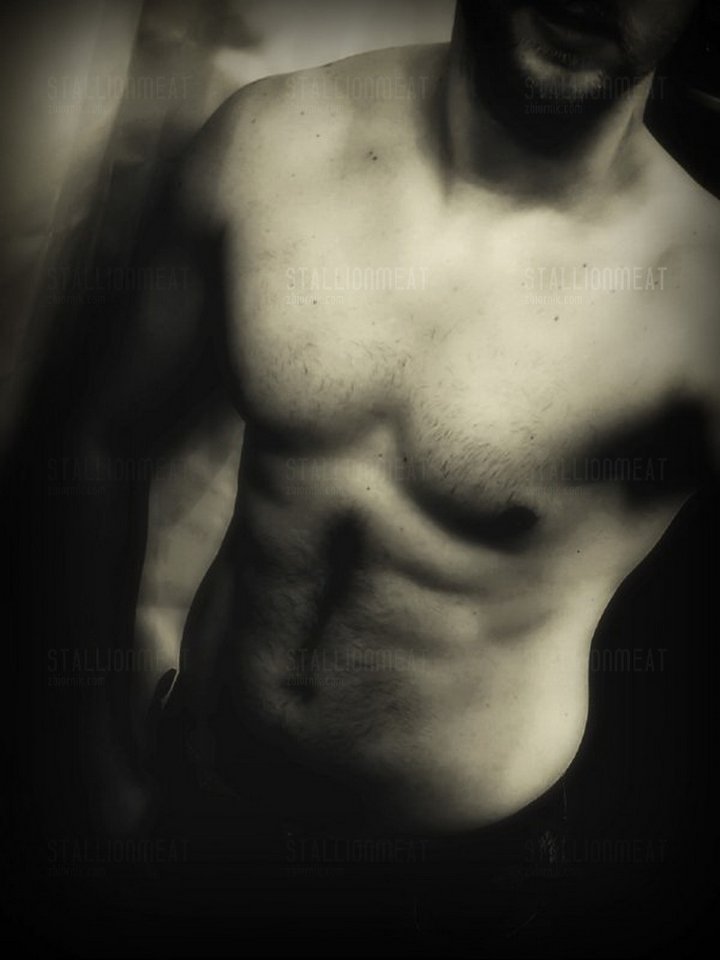 Big_7.jpg - StallionMeat