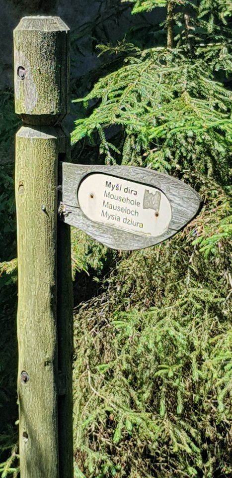 1 1111.jpg - psaint77