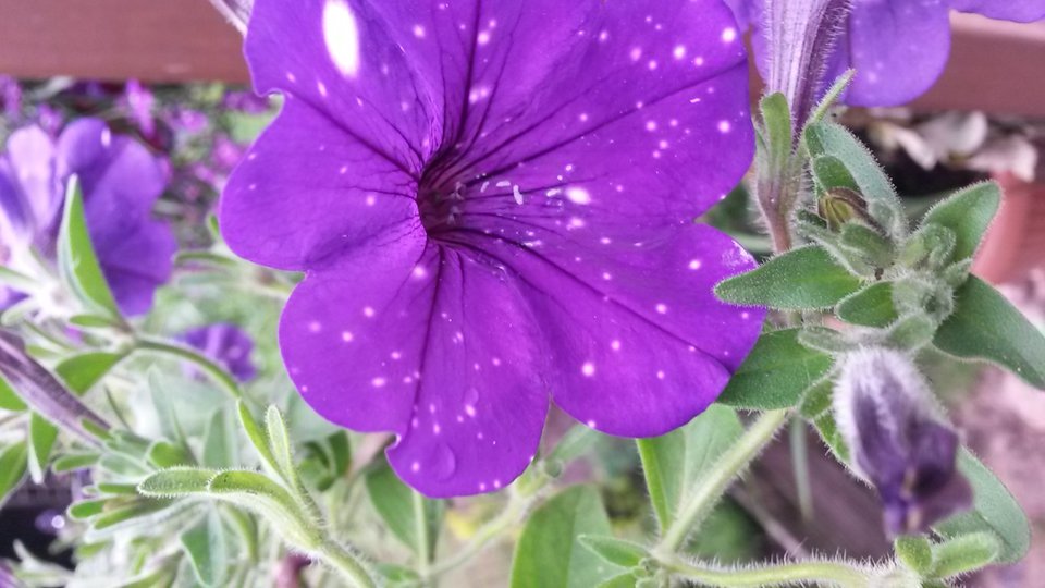 20180611_073308.jpg - Xx50plus