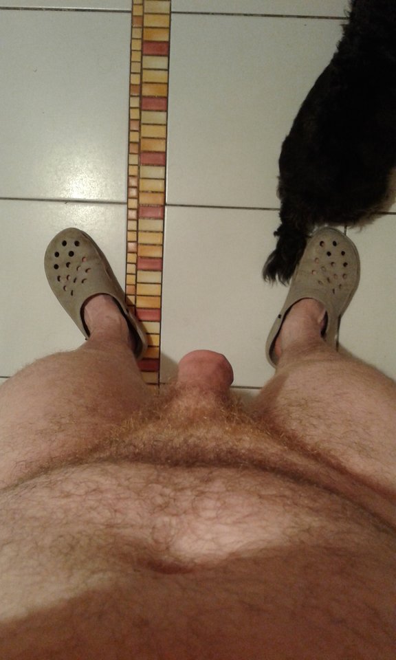 z pieskiem - onjakitaki