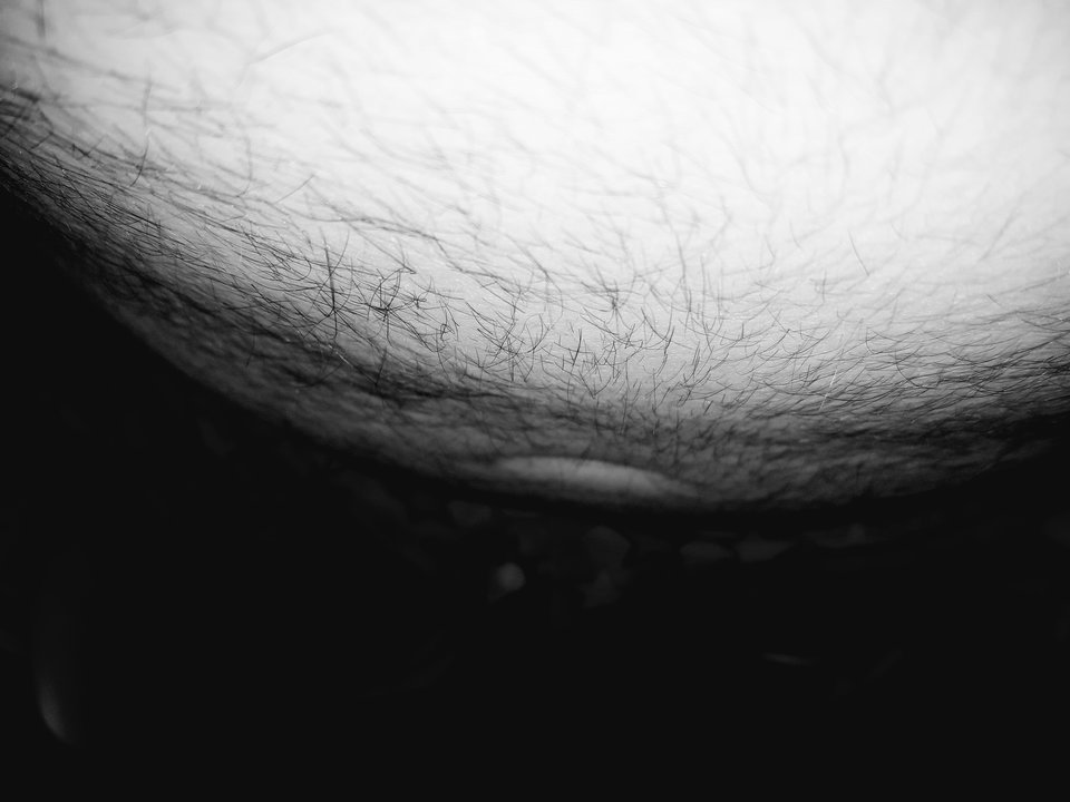 20180612_064247.jpg - dino8