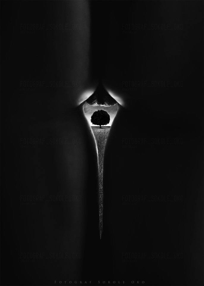 punkt widzenia - fotograf_sokole_oko