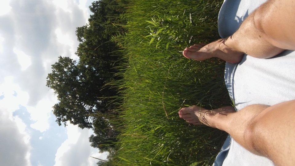 20180612_150038.jpg - kurkis