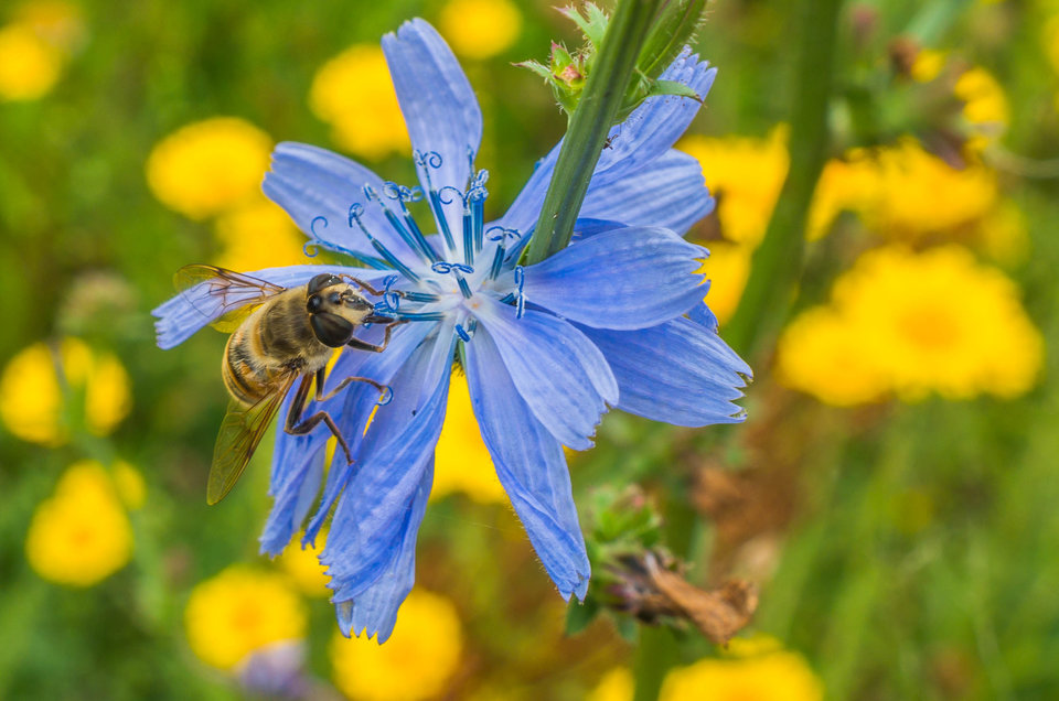 Gra w niebieskie - mystic