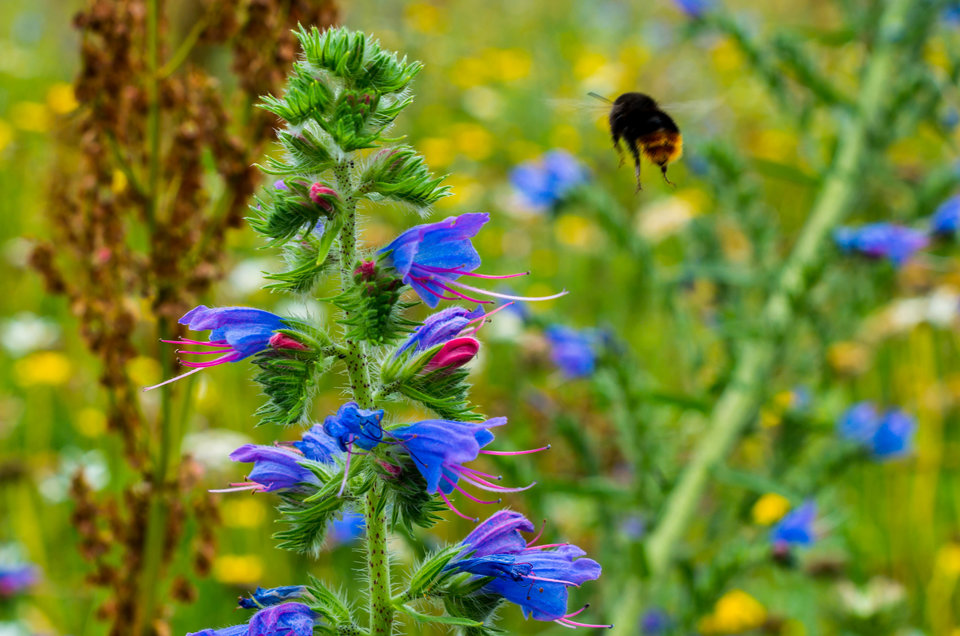 I odleciał - mystic