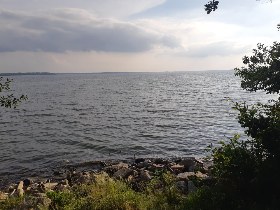 20180612_183613.jpg - mlody1277