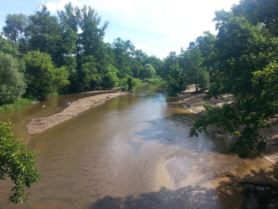 20180613_092136.jpg - NIESAMOWITYKOT