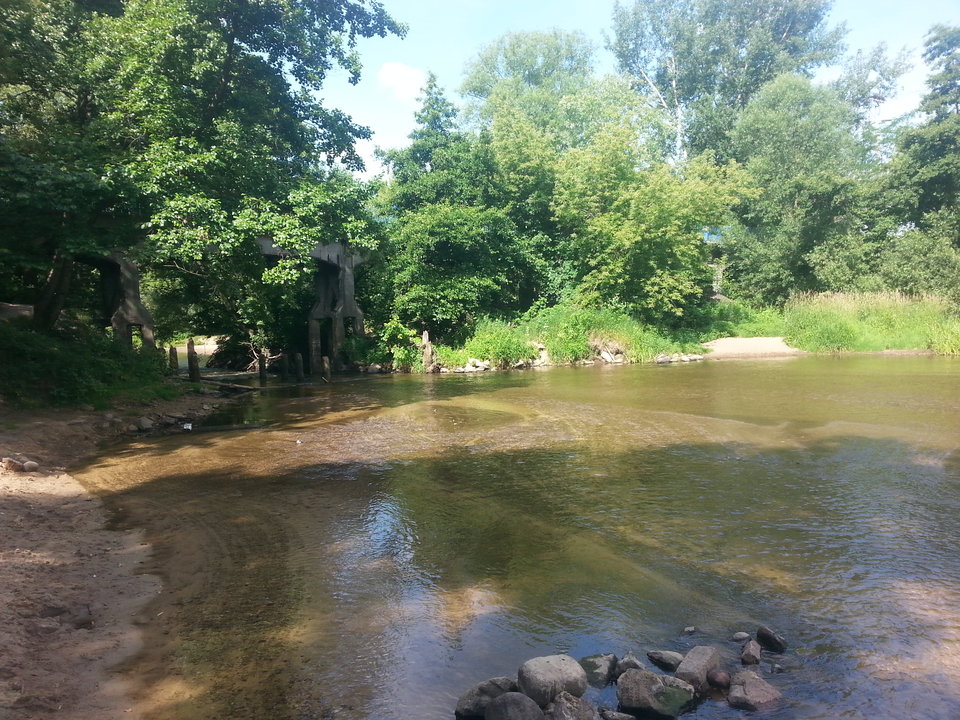 20180613_092255.jpg - NIESAMOWITYKOT