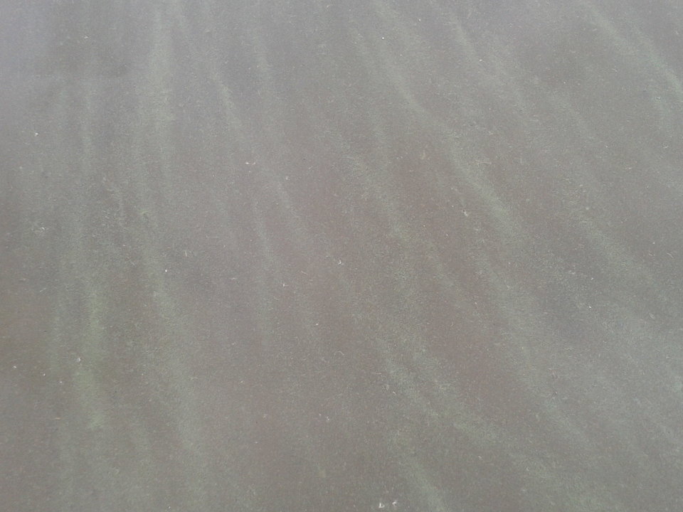 Zdjęcie-0042.jpg - lookin_