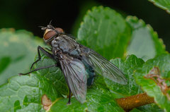Oczekiwanie na słońce