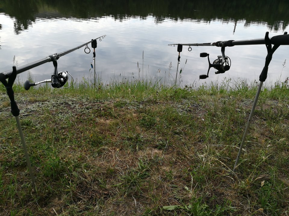 15291404275701108369967.jpg - tiburon73