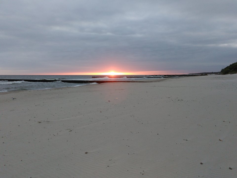 IMG_20180614_043533.jpg - Pajacyki