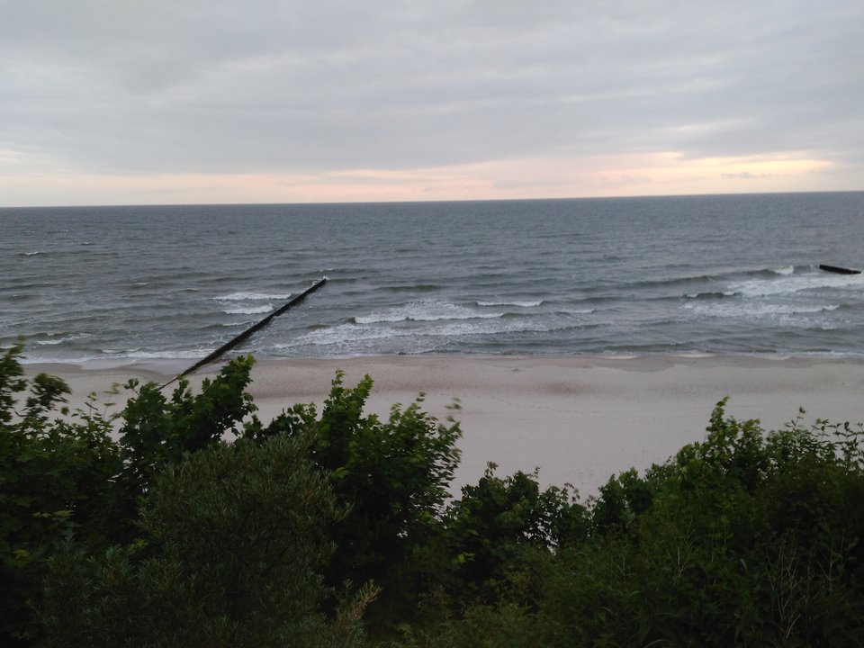 IMG_20180614_043833.jpg - Pajacyki