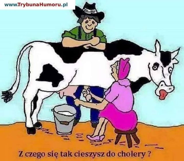 IMG-20180617-WA0016.jpg - limuzyna56